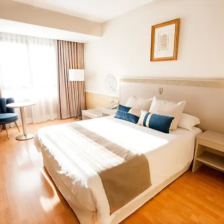 Hotel Alfonso Viii
