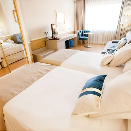 Alfonso Viii Hotel 4*